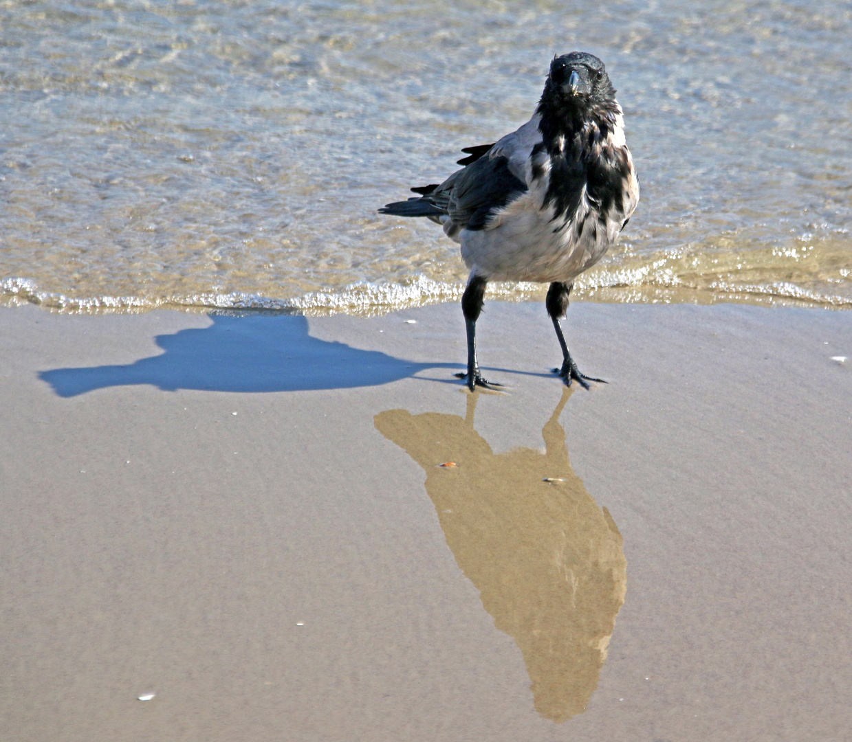 Drei am Strand