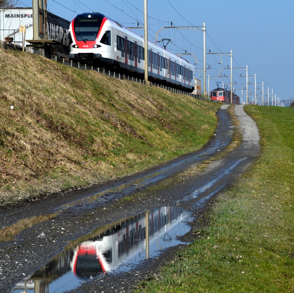 Drei auf einen Streich