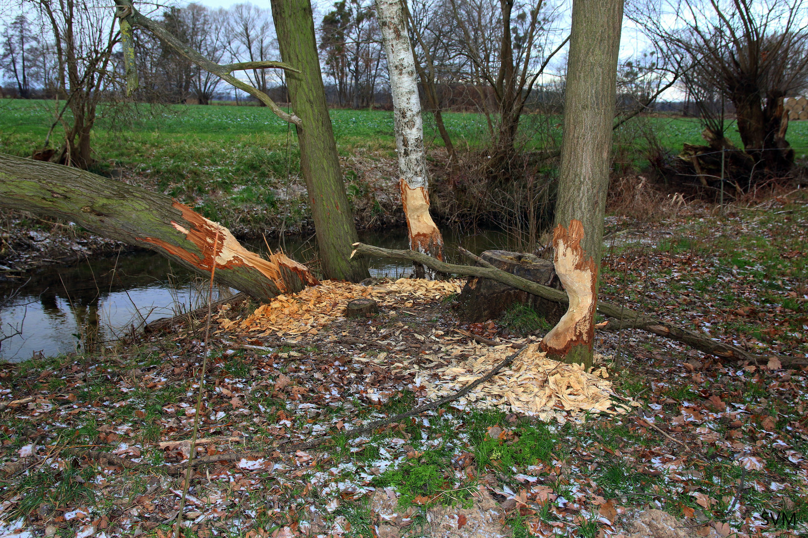 "Drei auf einen Streich"