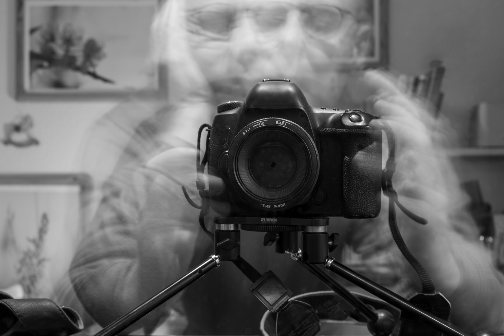 .. Drei Augen sehen mehr als zwei Foto & Bild photography