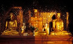 Drei Buddhas im Abendlicht