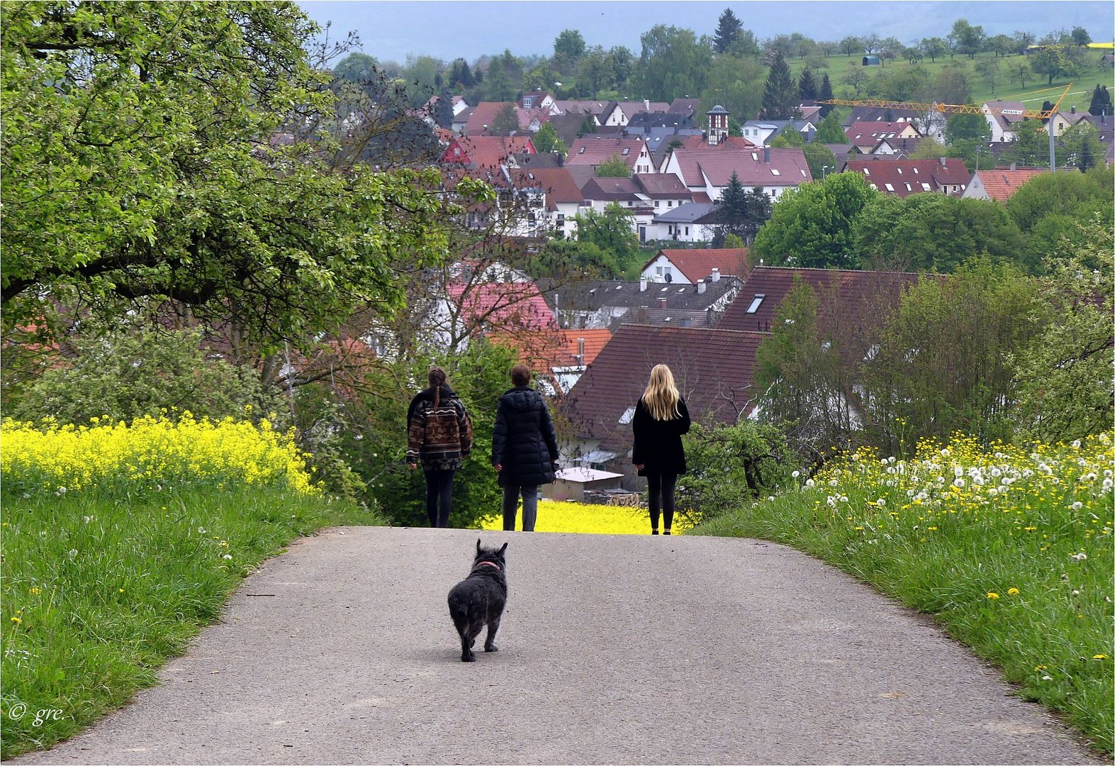 Drei Damen und ein Hund