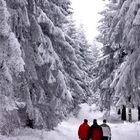 Drei der Sieben Zwerge (gesehen Winter 2005/Harz)