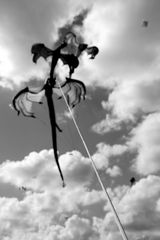 drei drachen