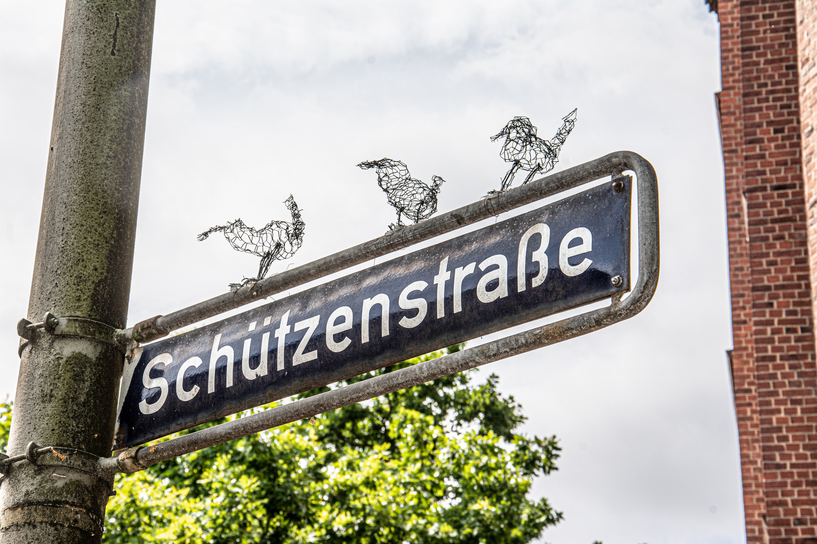 Drei Drahtpiepmätze auf dem Straßenschild