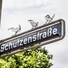 Drei Drahtpiepmätze auf dem Straßenschild