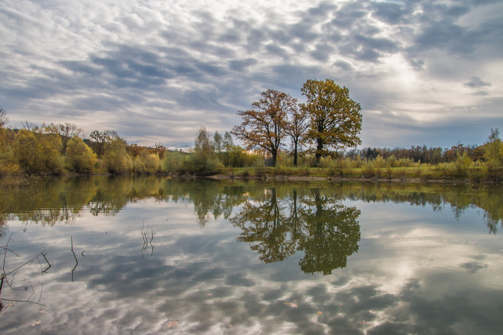 Drei Eichen am See