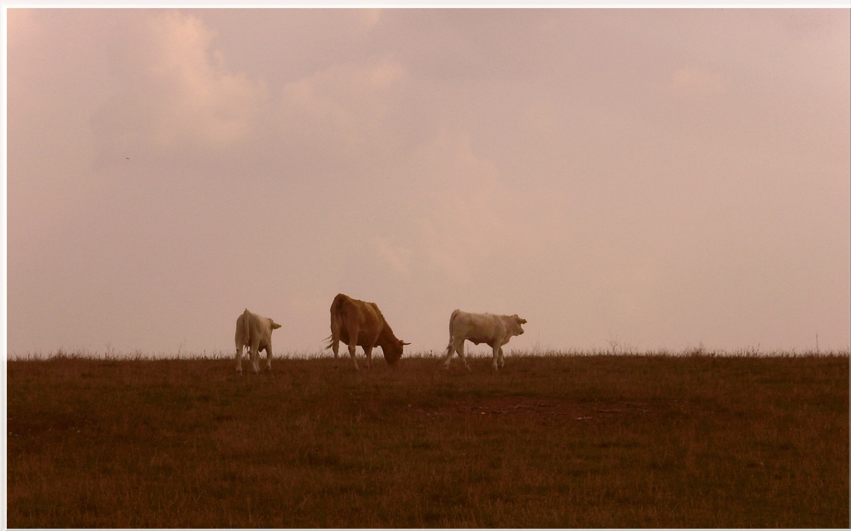 -drei einsame Wanderer-