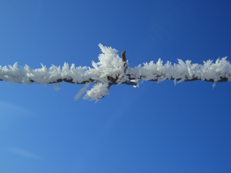 Drei Elemente...Schnee Zaun Himmel...