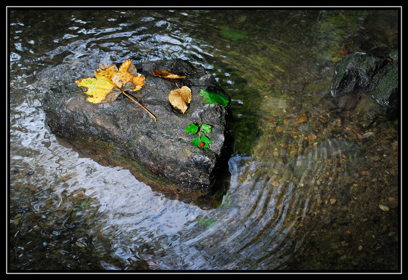 Drei Farben ... Herbst