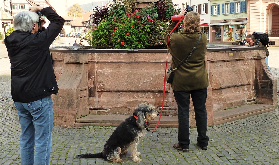 Drei Fotografen und ein Hund