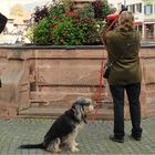 Drei Fotografen und ein Hund