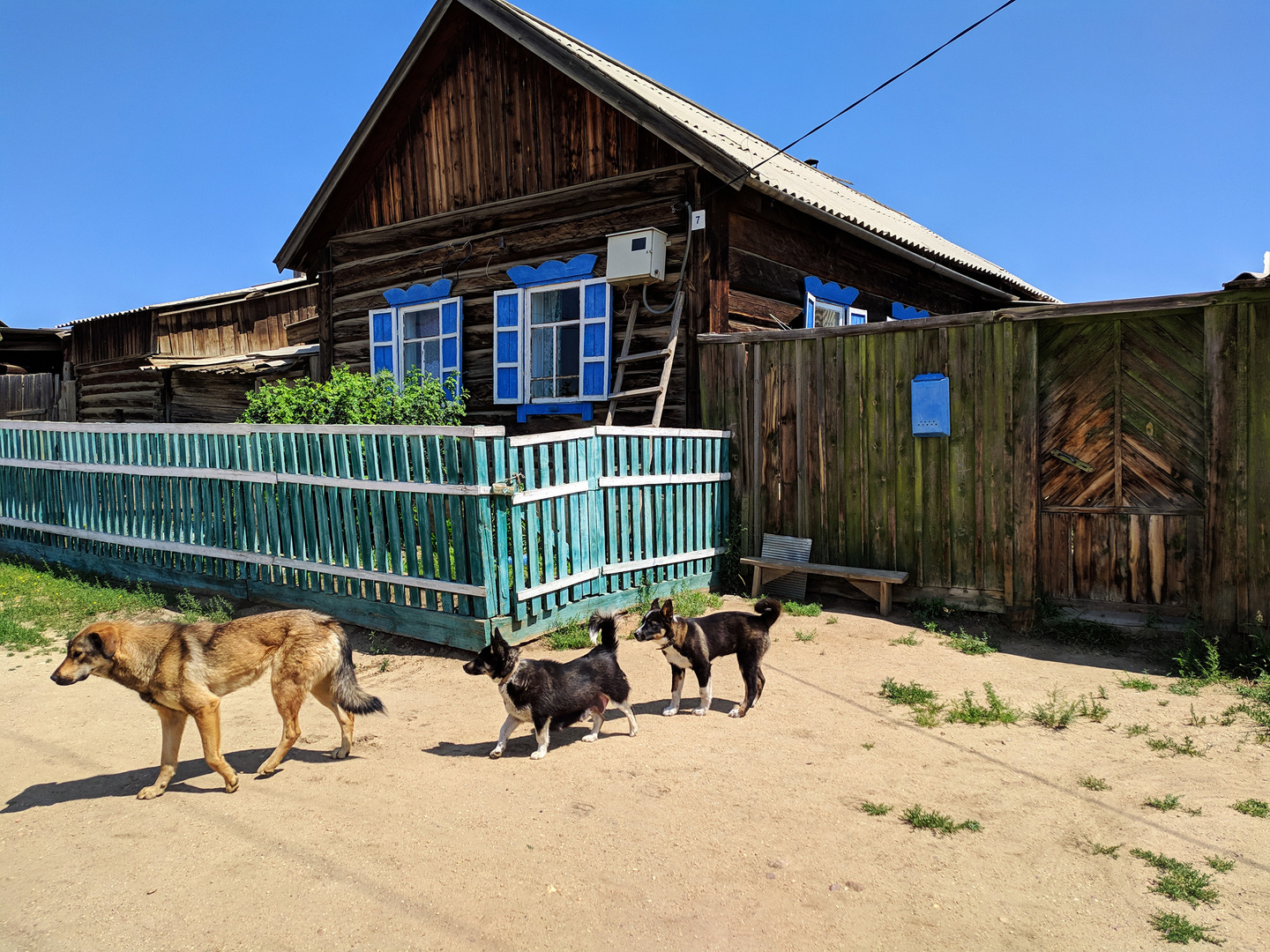 Drei Freunde am Baikalsee