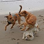 Drei Freunde am Strand