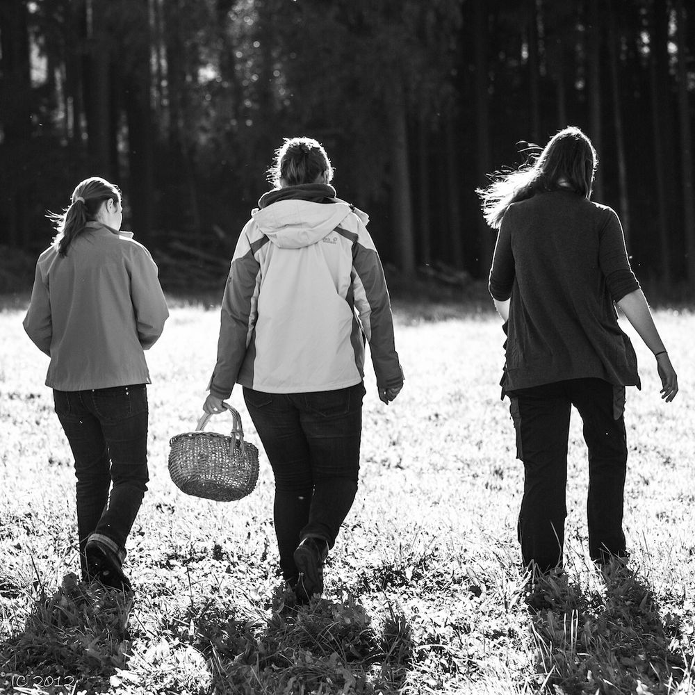 Drei Freundinnen auf dem Weg zur Pilzsuche im Wald