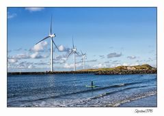 Drei gegen Eins....Stand Up Paddling