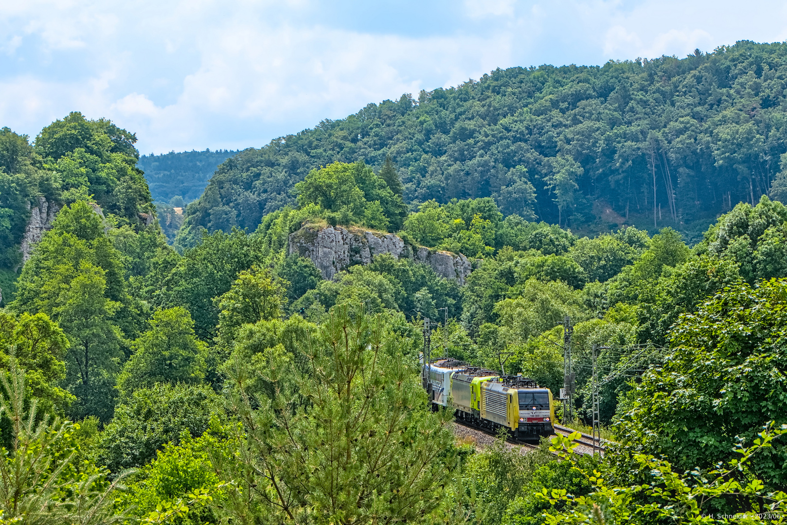 Drei-Gespann im Bayerischen Urwald