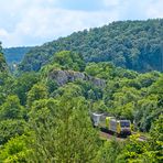 Drei-Gespann im Bayerischen Urwald