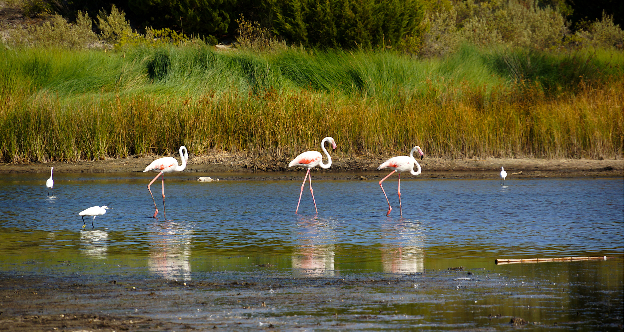 drei Grazien Foto & Bild europe, italy, vatican city, s marino, italy