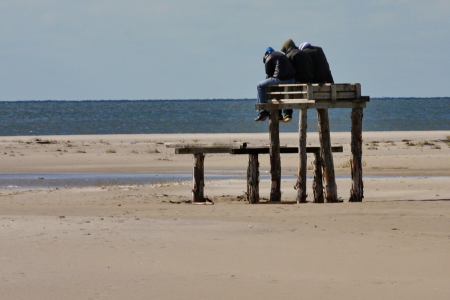 Drei Großstadtvögel am Meer, oder: "Mann O, kann man nicht mal das öde Programm umschalten!?"