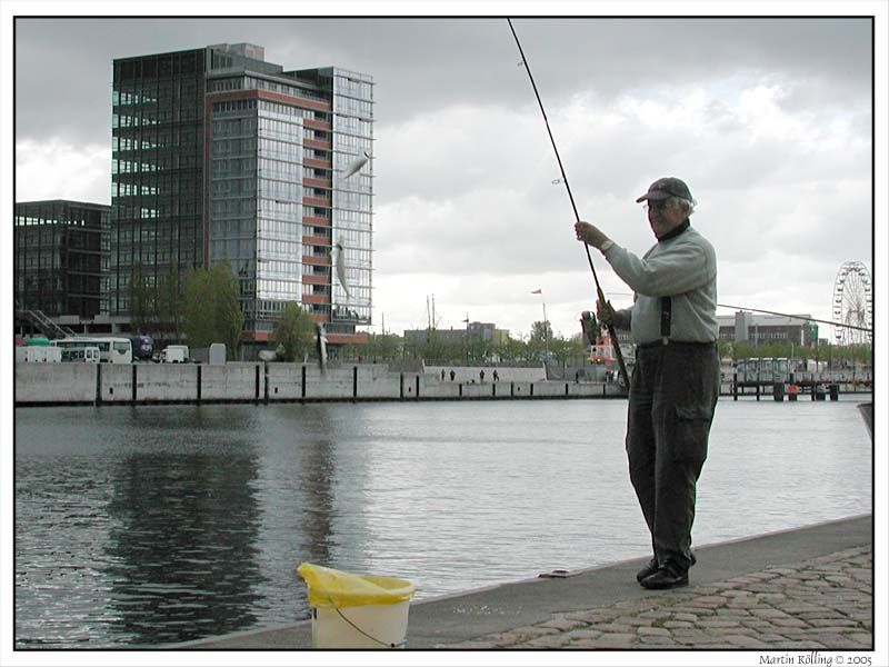 Drei Heringe auf einen Streich an der Kieler Förde