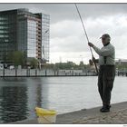 Drei Heringe auf einen Streich an der Kieler Förde