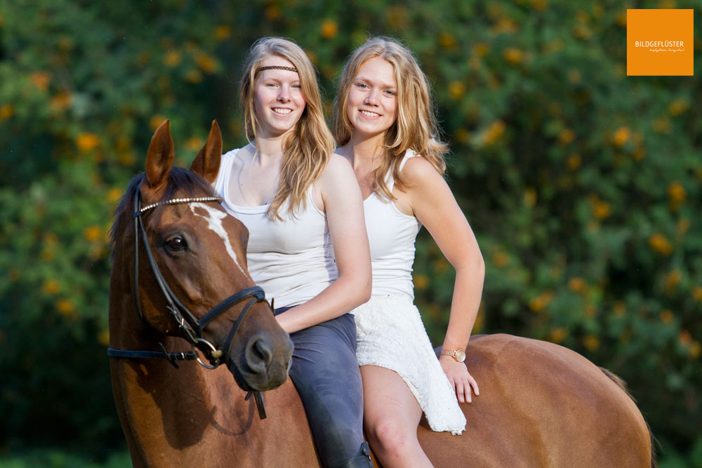 drei hübsche Mädels Foto & Bild | tiere, haustiere, pferde, esel