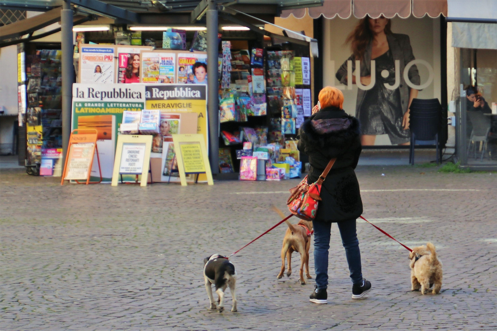 Drei Hunde und ein Telefonat