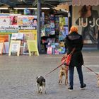 Drei Hunde und ein Telefonat