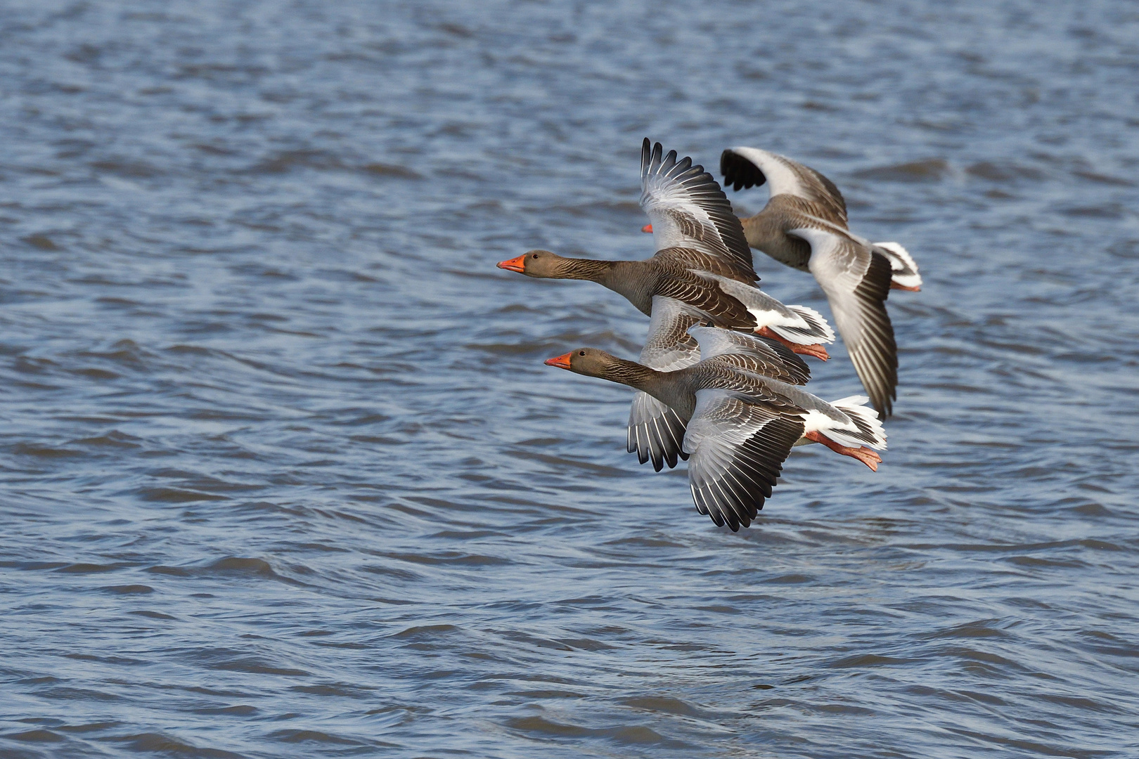 Drei im Anflug