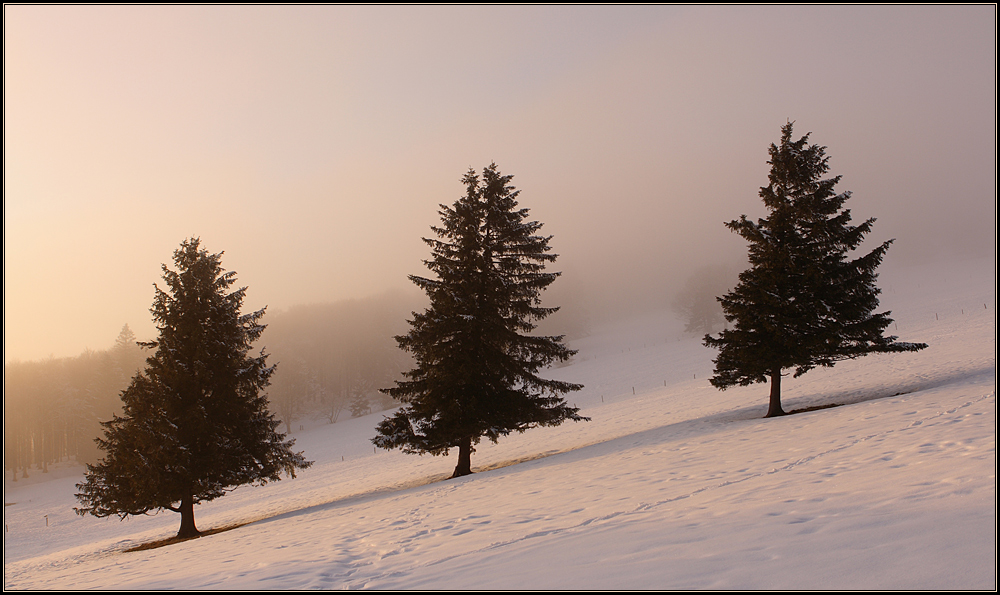 Drei im Nebel