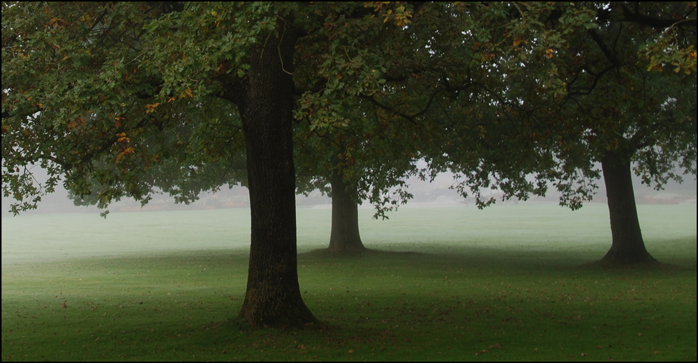 Drei im Nebel II