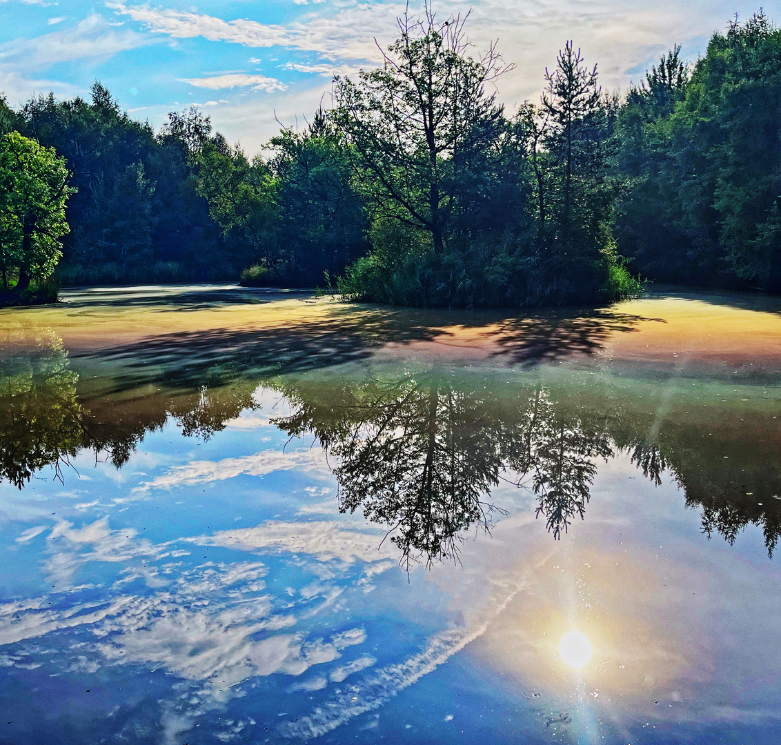 DreiInselTeich Foto & Bild landschaft, bach, fluss & see, see