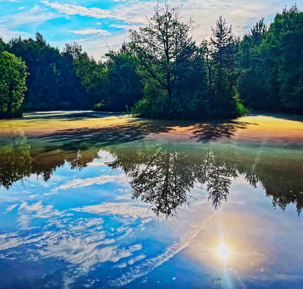 DreiInselTeich Foto & Bild landschaft, bach, fluss & see, see