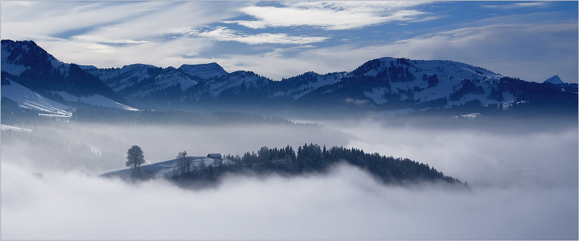 Drei Jahre Fotocommunity ... danke, dass Ihr mir den Weg aus dem Nebel ins Licht gezeigt habt!