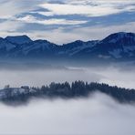 Drei Jahre Fotocommunity ... danke, dass Ihr mir den Weg aus dem Nebel ins Licht gezeigt habt!