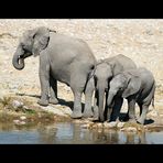 Drei kleine Elefanten