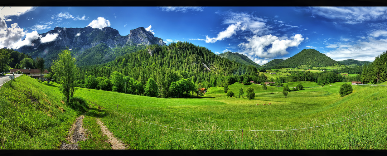 Drei Kühe machen Mittagsschlaf ;-) Panorama