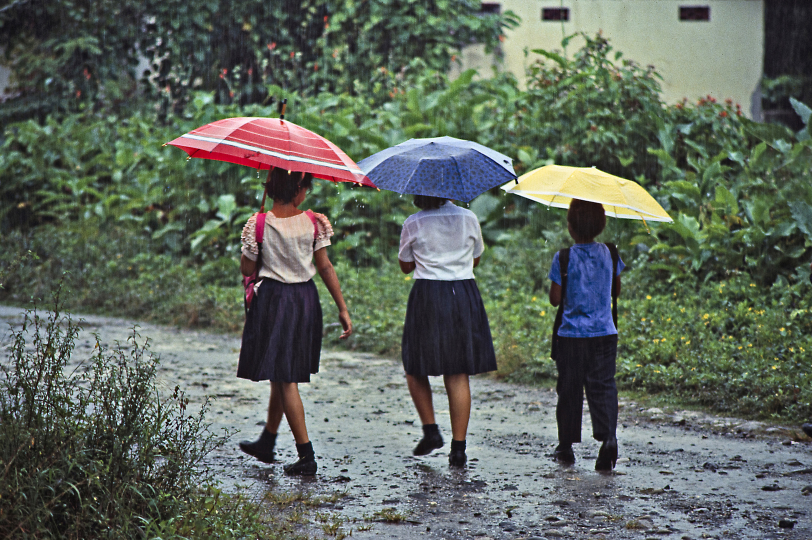 Drei Mädchen im Regen 