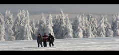 Drei Männer im Schnee