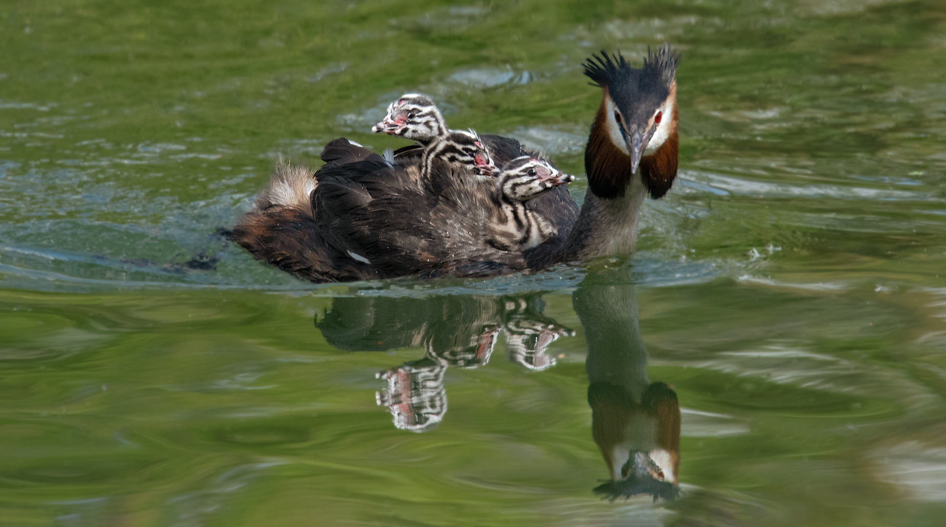 Drei Mann in einem Boot