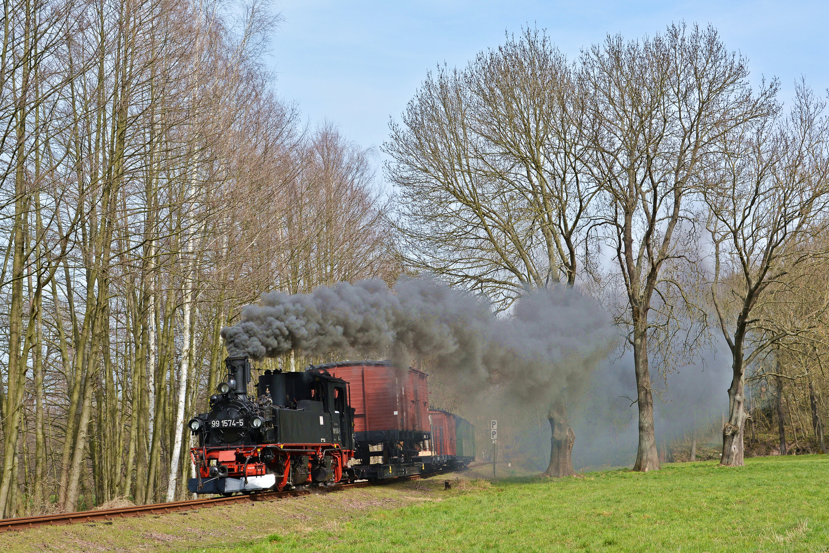 Drei markanten Bäume an der Schwedenschanze