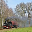 Drei markanten Bäume an der Schwedenschanze