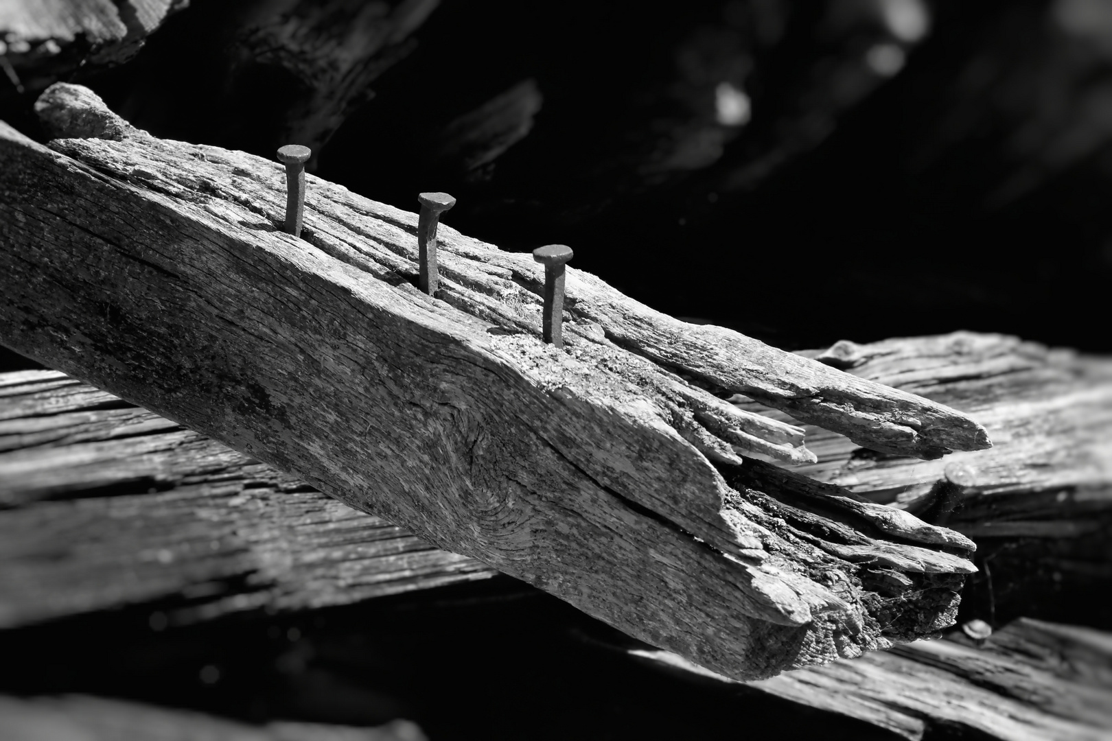 drei Nägel stehen zusammen -  three nails standing together