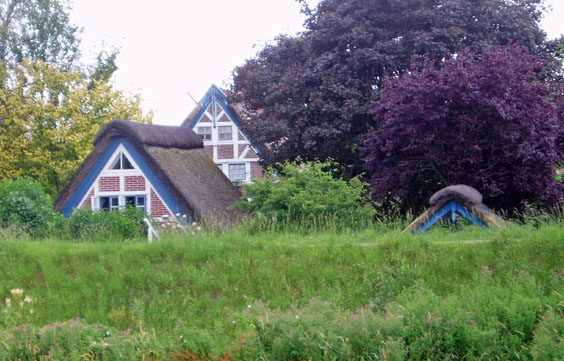 Drei neugierige Giebel hinterm Deich