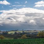 Drei Pappeln am horizont 3