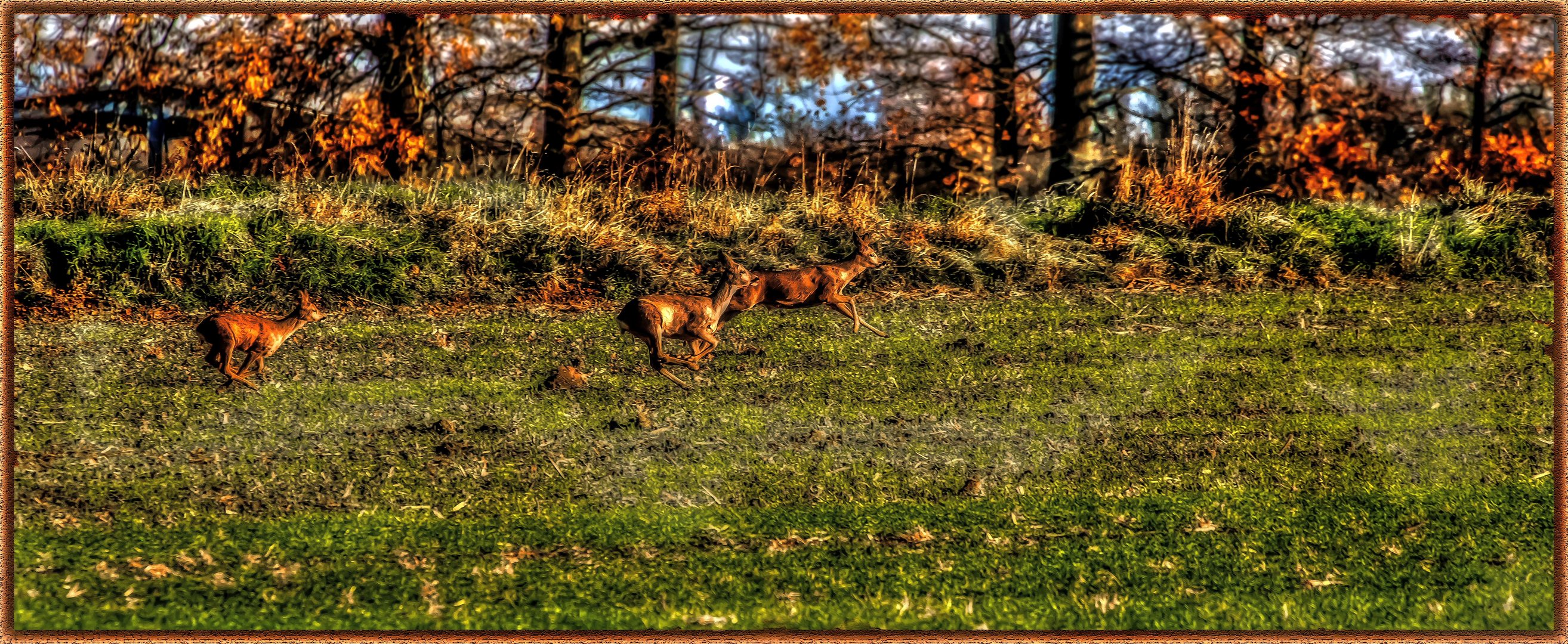 "Drei Rehe in der Abendsonne" - ein digitales Gemälde