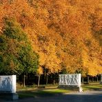 DREI SARKOPHAGE IM HERBSTLICHT