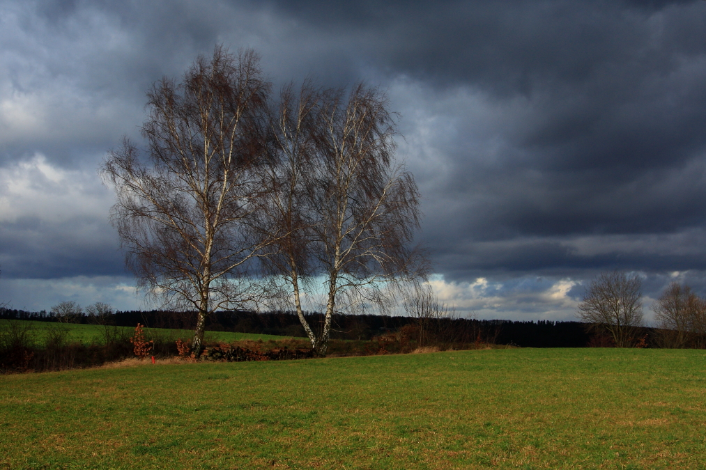 Drei Schwestern im Wind