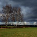 Drei Schwestern im Wind